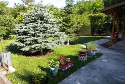 Casă cu 4 camere în Vălenii de Munte - 7