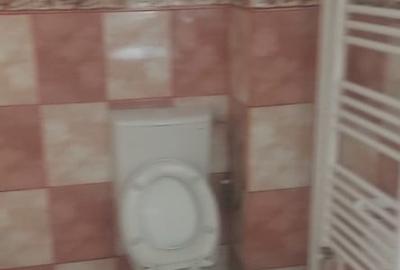 Casa de vanzare  4 camere,suprafata utila  totala 600 mp (Padurea Dumbrava) - 14