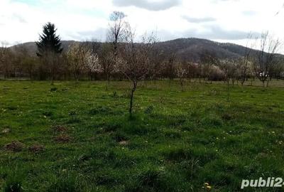 Teren de 2750 mp, în Aninoasa