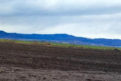Teren agricol extravilan de 13600 mp, în Cristian