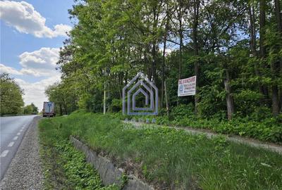 Suceava, Draguseni, teren cu casa batraneasca, langa troit - 4