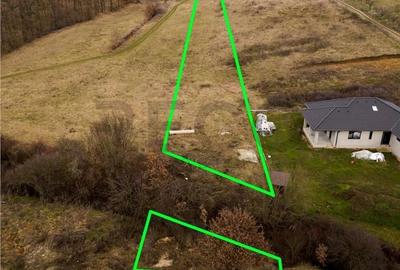 Spațiu comercial, în Betfia - 8