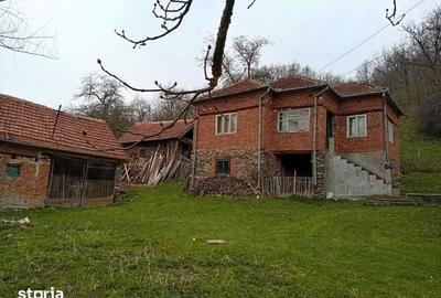 Casă cu 4 camere cu Teren 3990 Mp în Densuș