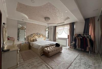 Vila de inchiriat Colentina - 10