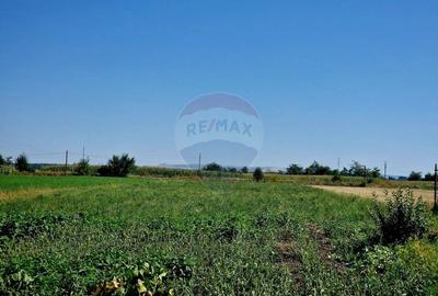 Casa si teren Zanesti - 4