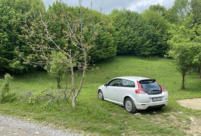 Spațiu comercial, în Valea Doftanei - 4