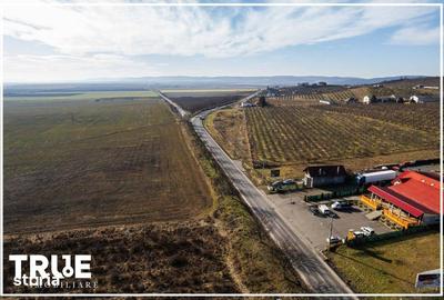 Teren de 1000 mp, în Central - 9
