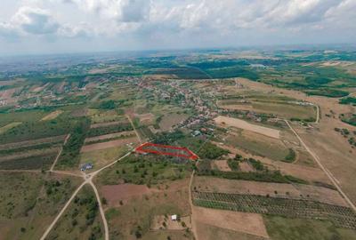 De vanzare Teren 3995mp intravilan Saldabagiu de Munte - 4