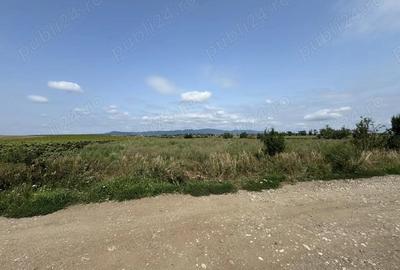 Parcele de 500 mp de vanzare in Halchiu Zona in plina dezvoltare! - 5