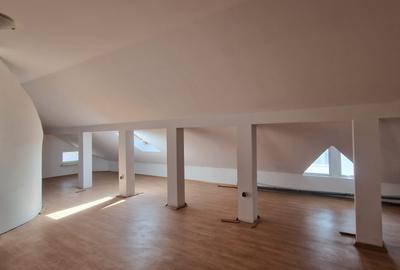 Casă individuală cu 7 camere cu Garaj în Splaiul Unirii - 29