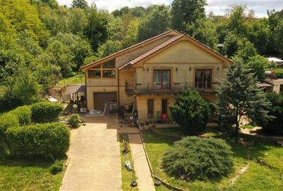 Casă cu 13 camere cu Teren 2595 Mp în Calea Caransebeșului - 17