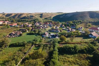 Teren 991mp Gura Arie?ului COMISION 0% - 14