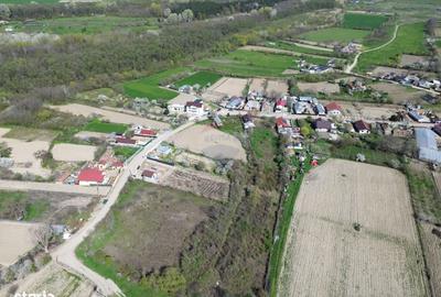 Spațiu comercial, în Rădulești - 8