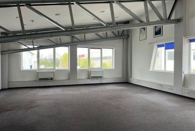 Spatiu de depozitare si productie Iuliul Maniu - 12