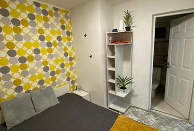 Apartament cu 2 camere decomandat în Palazu Mare - 4