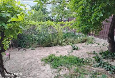 Casă cu 7 camere cu Teren 600 Mp în Central - 1