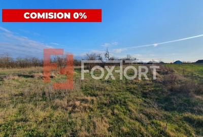 Casă individuală cu 4 camere în Pădureni (Jebel)
