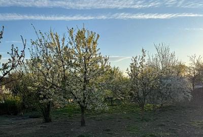 Casă cu 3 camere în Central - 1