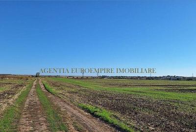 Teren de 400 mp, în Sud - 8