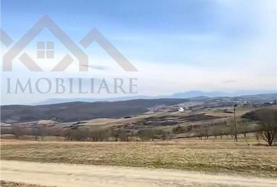 Teren de 3000 mp, în Coaș