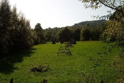 Teren de 2142 mp, în Valea Doftanei - 4