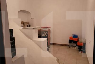 Casă cu 4 camere cu Teren 1475 Mp în Cărpiniș - 2