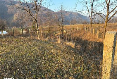 Spațiu comercial, în Feldru - 10