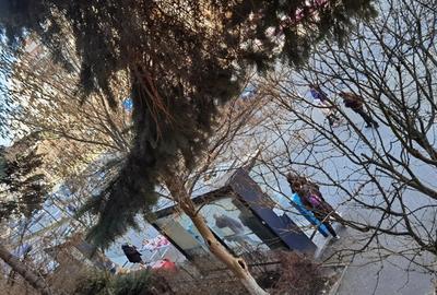 Apartament cu 3 camere decomandat în Central - 5