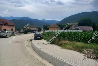 De 733 mp in Boita Sibiu