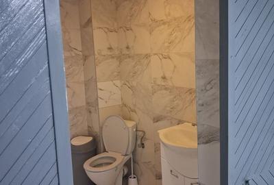 Spațiu comercial complet echipat - 13