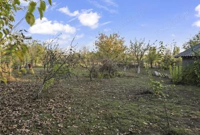 COMISION 0% | 2 Case cu Spatiu Comercial | Teren 1019mp | 540 eur/mp - 27