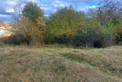 Teren intravilan 1100mp deschidere la drum, de vanzare in Cisnadioara - 3