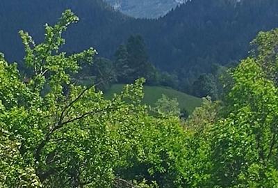 Teren de 2250 mp, în Bran - 7