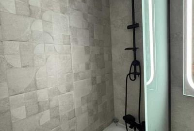 Garsoniera de inchiriat Dristor - 3