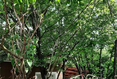 Casă cu 3 camere cu Teren 211 Mp în Dămăroaia - 4