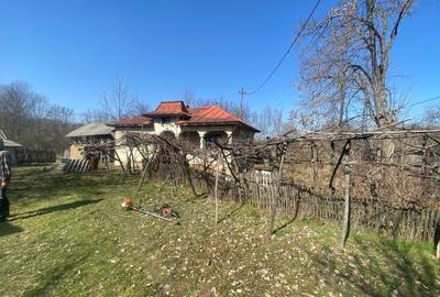 Casă cu 3 camere în Vârșești - 1