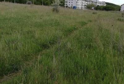 Teren de 5000 mp, în Central - 1