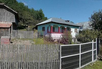 Casa batraneasca cu teren (4.910 mp) la Alunis - 18