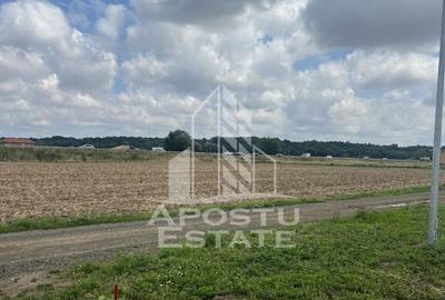 Teren de 608 mp, în Ghiroda - 1