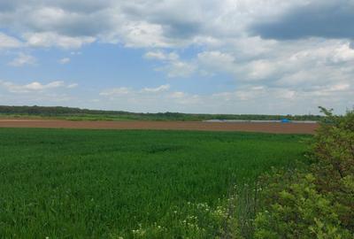 Spațiu comercial, în Bălteni - 4