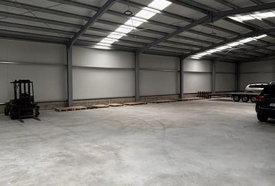 Spațiu industrial, de 590 mp, în Exterior Vest - 4