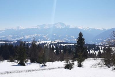 Teren de 470000 mp, în Moisei - 2