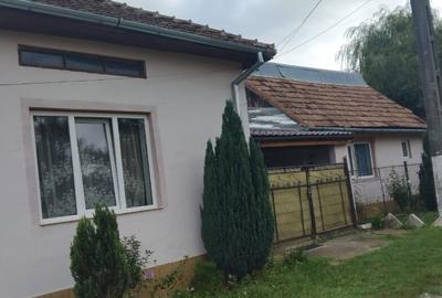 Casa mobilata Voislova, Caras-Severin - 5