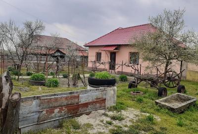 Casă cu 3 camere cu Teren 2500 Mp în Butoiești - 8