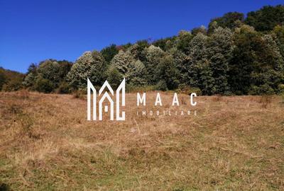 Teren agricol extravilan de 20000 mp, în Stoenești - 12