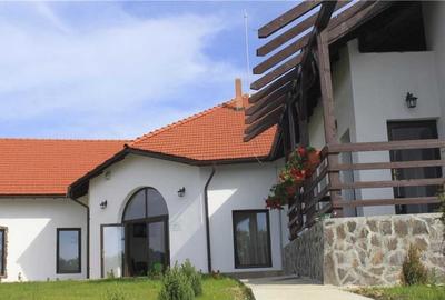 Guesthouse for sale near Mehedinți Mountains - 4