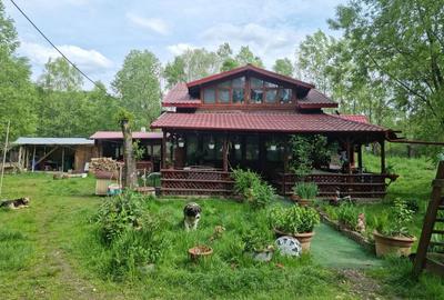 Casă cu 2 camere în Nămăești - 8