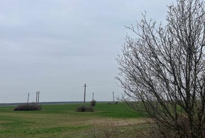 Giurgiu-Marsa Teren Agricol 8.5 Ha - 2