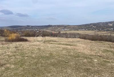 Teren Construcții intravilan de 11300 mp, în Bârnova - 1