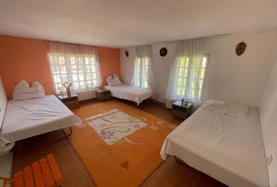 Proprietate D+P+1+M - Baile Sacelu *poten?ial de business Proprietate D+P+1+M - Baile Sacelu *poten?ial de business - 6